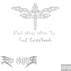 Black Wings White Sky