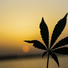 Midnight Sun 420 type beat