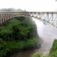 Video: Crocodile Relocated From Victoria Falls Bridge