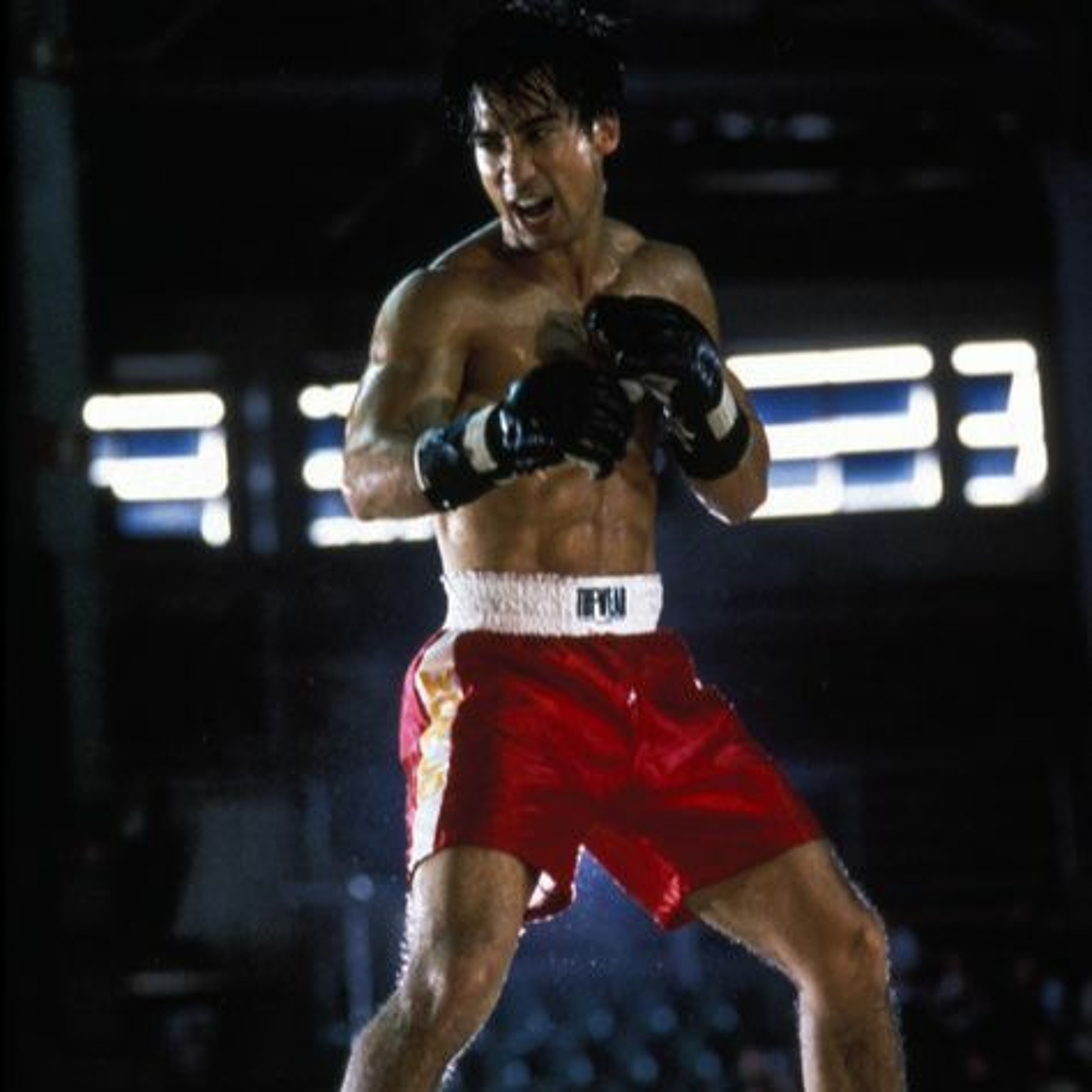 The Martial Arts Mania Podcast