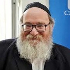 Rabbi Breitowitz - Halacha of War pt 1