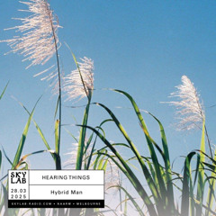 | HEARING THINGS | w/ Hybrid Man | E5