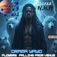 DramaYayo-Flowers Falling From Venus Final Version.mp3