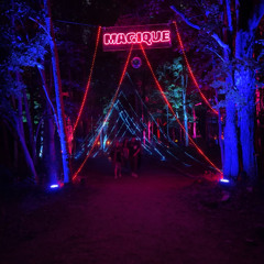 Contact Magique 2025