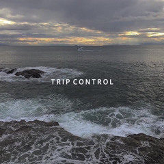 Trip Control - Chill Out, Lounge & Deep House - Episode IX