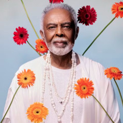 Gilberto Gil - Tempo Rei (DJ MM Bootleg Mix 2025)