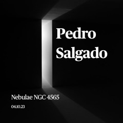 Pedro Salgado Live At Nebulae NGC 4565