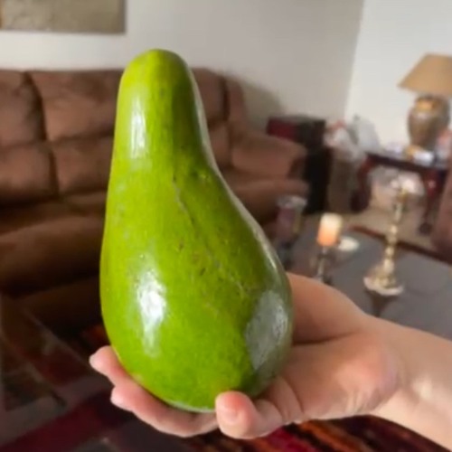 Avocado a dolar