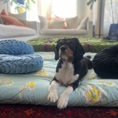 Minimal Sunday - Live Recording