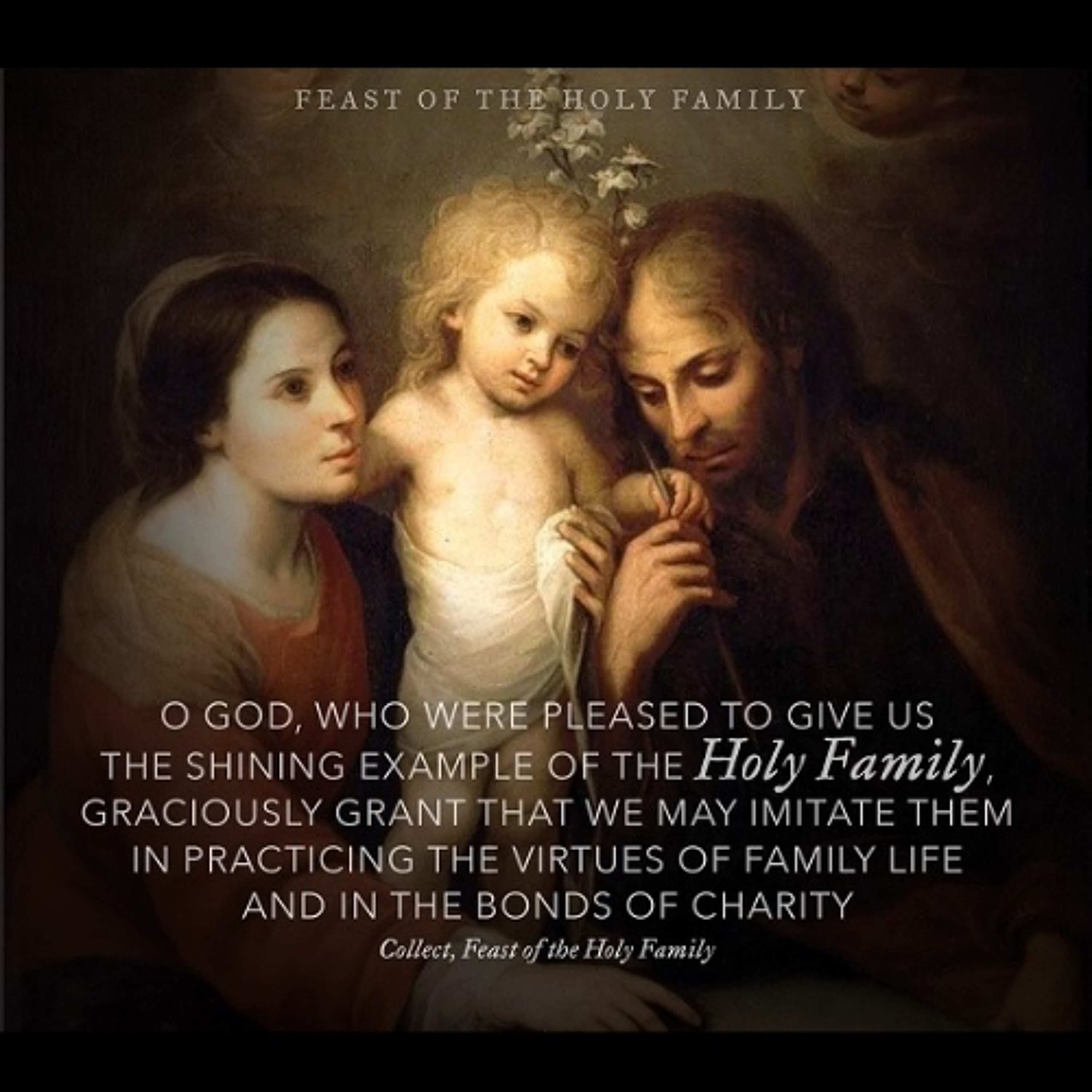 Fr. Darrick Leier Homily Podcast