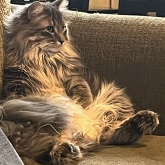 if your listening to this your music taste sucks