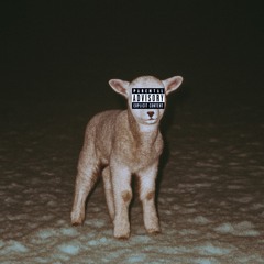 sleeping next to strangers