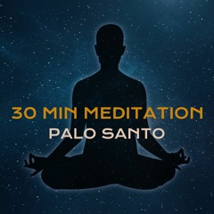 30 Minutes Drone Meditation Music | Relaxation | Clear Mind | Palo Santo
