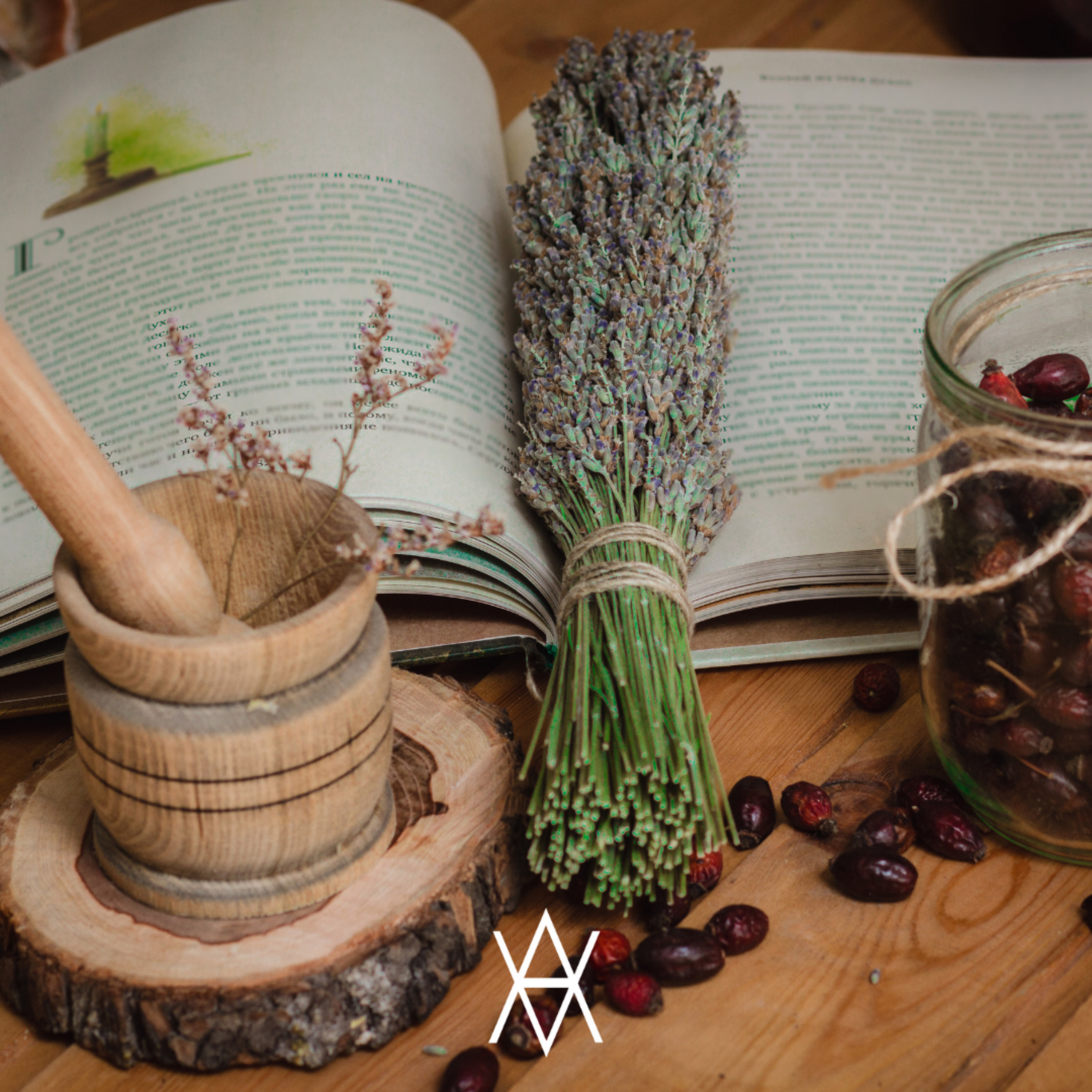 Accessible Astrology with Psychotherapist + Astrologer Eugenia Krok, MA