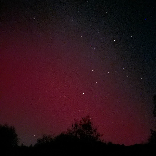 Song of the Bees - resynth