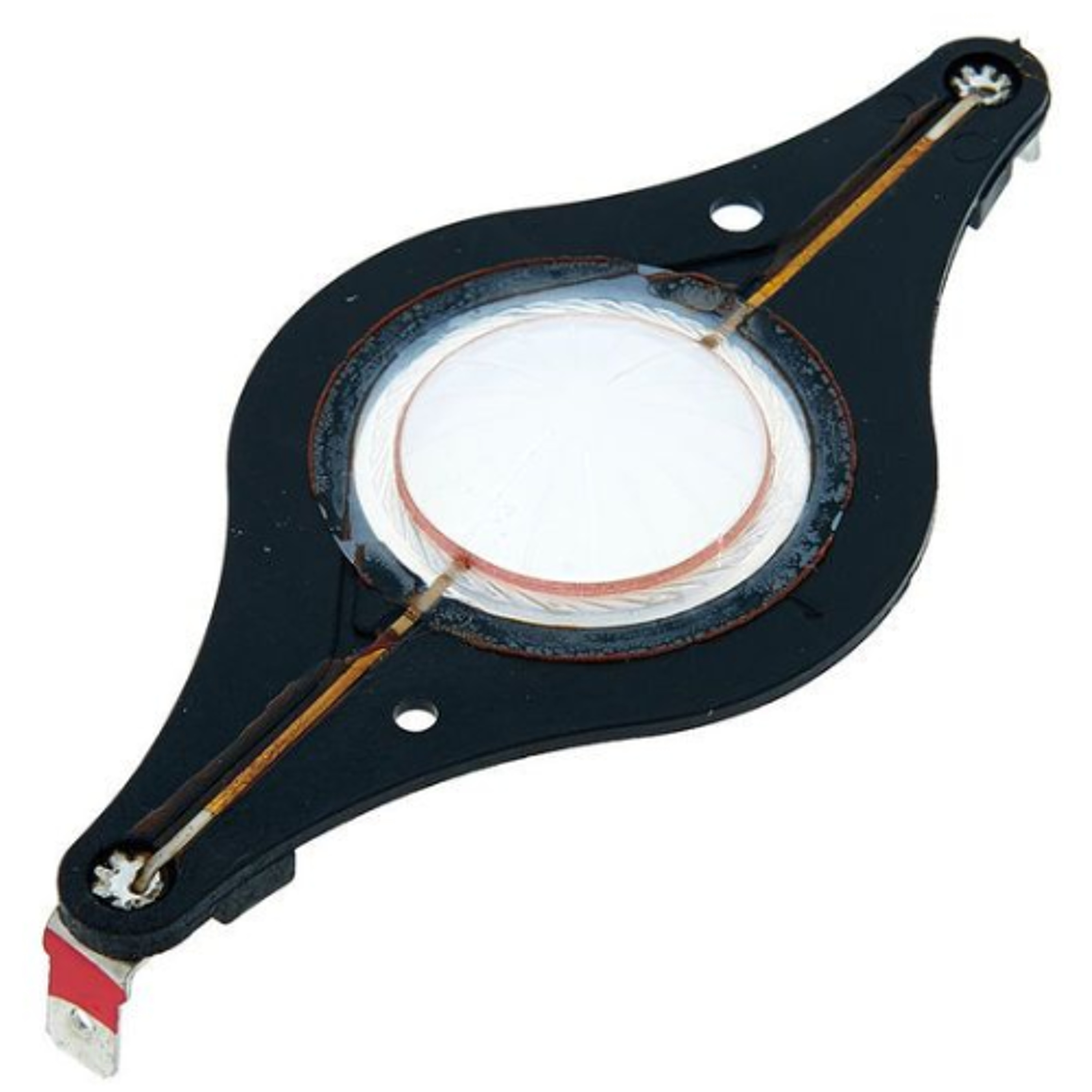 #TRAP (The Rhythms And Perturbations) --- SynTalk #TRAP (The Rhythms And Perturbations) --- SynTalk