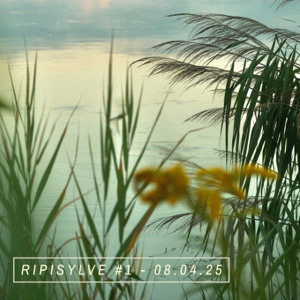 RIPISYLVE #1 w/ Small Water Bodies & Xuri Mae