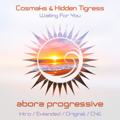 Cosmaks & Hidden Tigress - Waiting For You (Intro Mix)