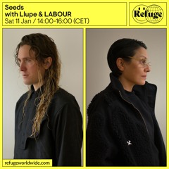 Refuge Worldwide - Seeds