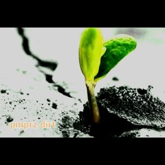 dirt