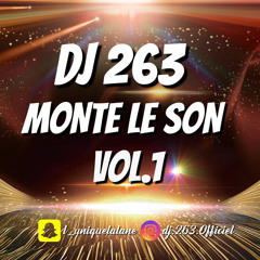 DJ 263 MONTE LE SON VOL 1