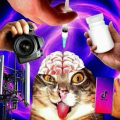 на украине выпал град это путин виноват