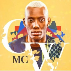 MEGAZINHA MC GW - DJ CAIO DO PDM