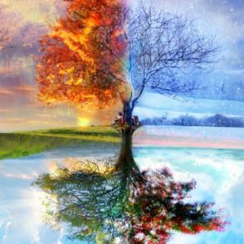051 Rose Summer and winters