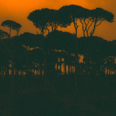 Fleeting - Hadi Rahi