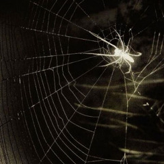 {{XXX}} @𝓓𝓮𝓪𝓭𝓵𝔂𝓓𝓮𝓼𝓲𝓻𝓮 ~ 𝓛𝓸𝓼𝓽/𝓜𝔂 𝓪𝓵𝓲𝓫𝓲 (1𝓴𝓼𝓾𝓫𝓲) ##GRIMIORE ##2CHAN ##M3RSMIXX