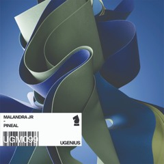 Malandra Jr. - Red velvet