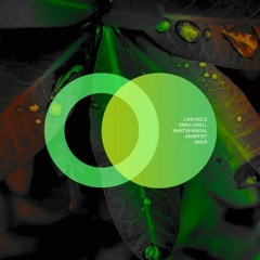 Lian Gold & Erika Krall & Martin Magal & Anartist - Amal [Area Verde]