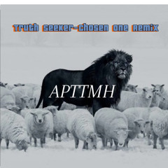 Truth Seeker Chosen one remix