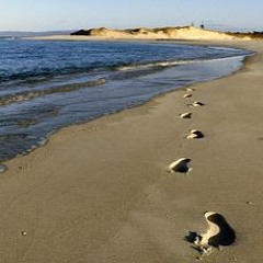 It Came From The Sea