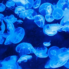 Pure and Bright Love From Aquaria's Verse ( Chill Out, Love, Peaceful, Soulful, Light, Downtempo )