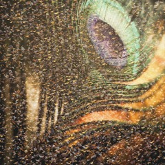 The Journey Changed Me