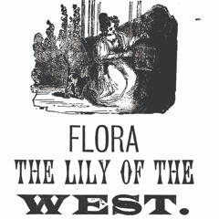 lily of the west