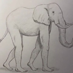 Elephant Patch