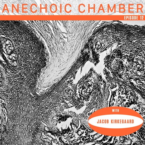Anechoic Chamber Episode 12: Jacob Kirkegaard