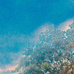 This track is Anonymous