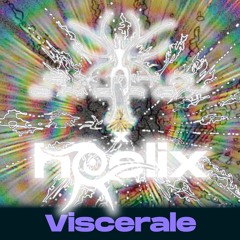 Viscerale ✧ Extra Energy x HEELIX at RSO.Berlin [12.07.24]
