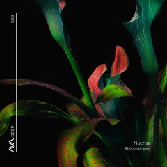 AVAD088 - Nucrise - Blissfulness