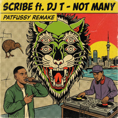 Not Many (Pat Fussy Remake)