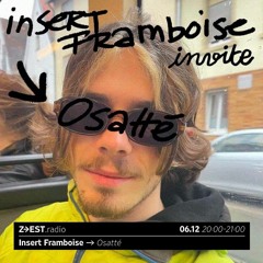 Insert Framboise avec Osatté