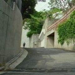 30013 - cats (properly pitched)