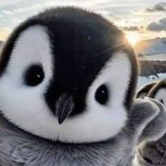 4U