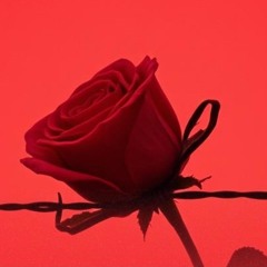 Just Use Me & Abuse Me