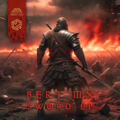 Bert MX - Confused