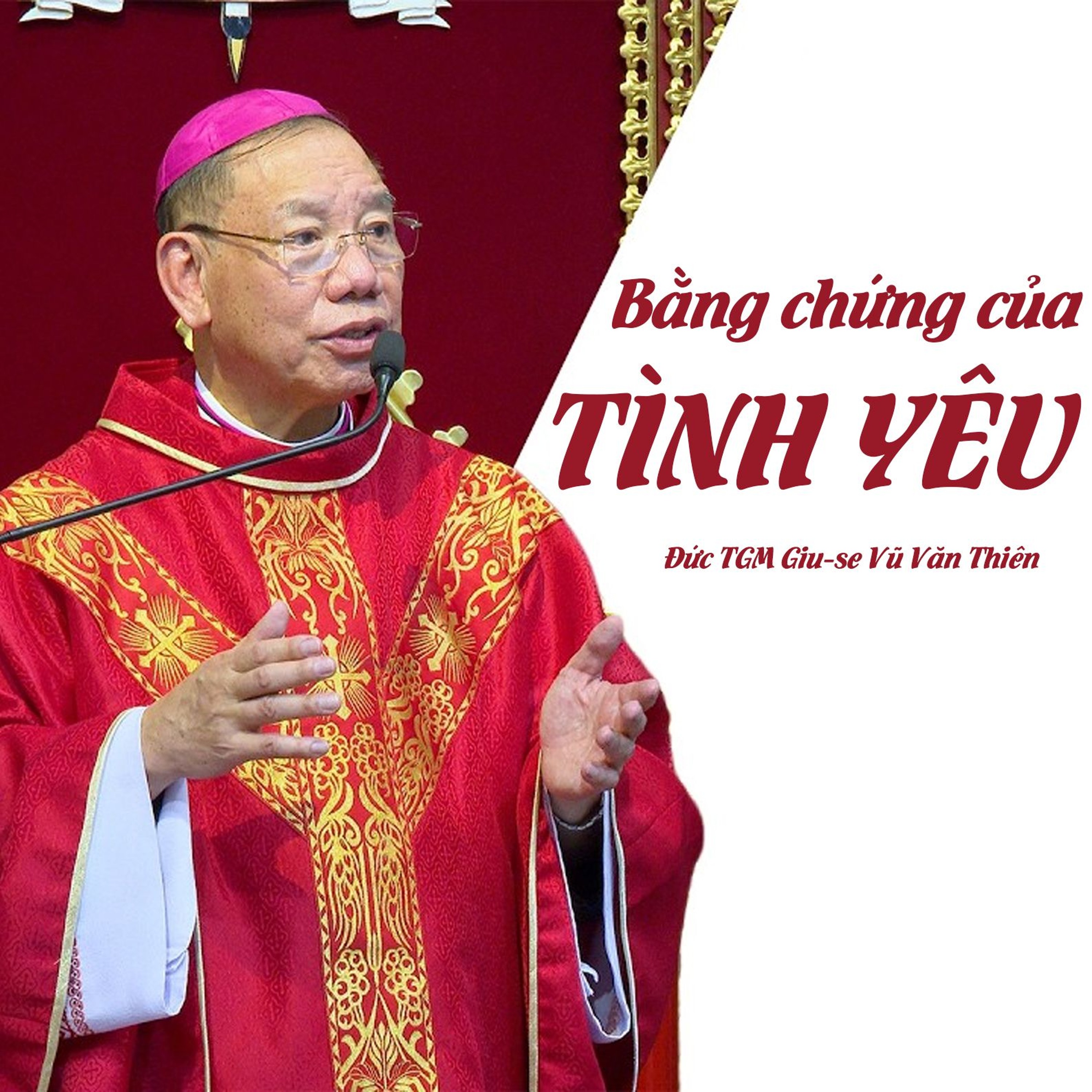 Bằng Chứng Của Tình Yêu - Thứ Sáu Tuần Thánh _ Đức TGM Giu-se Vũ Văn Thiên episode artwork