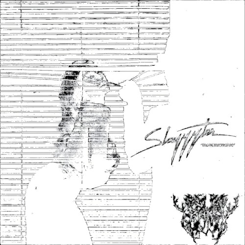 SLAYYYTER - EROTIC ELECTRONIC (GRAYBX BOOTLEG)[free download xo]